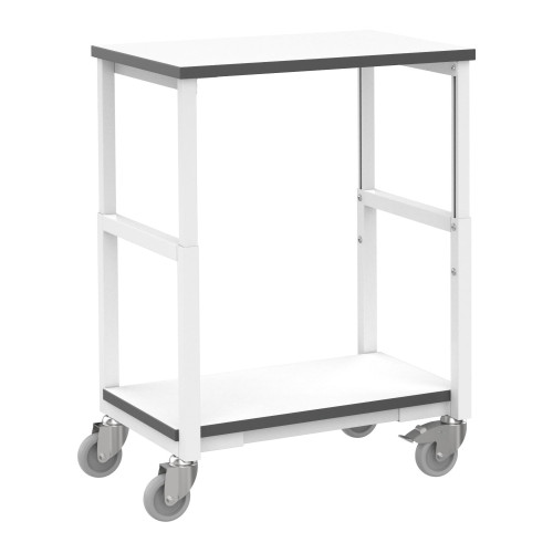 RT-TB/ESD/500/700/2 ESD Trolley 2 shelves 500x700mm RT-TB/ESD/500/700/2 ESD Trolley 2 shelves 500x700mm