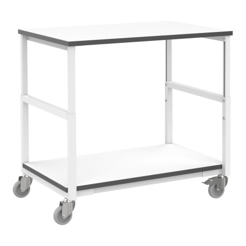 RT-TB/ESD/1000/700/2 ESD Trolley 2 shelves 1000x700mm RT-TB/ESD/1000/700/2 ESD Trolley 2 shelves 1000x700mm