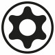 Torx Security