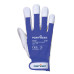 Portwest A250 Tergsus Glove, Blue